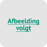 Volgt